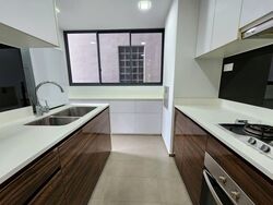 Terrene At Bukit Timah (D21), Condominium #608628031
